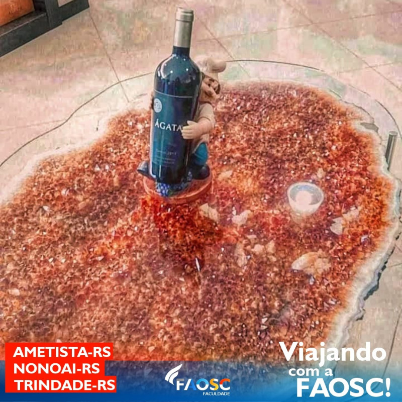 VIAGEM DE ESTUDOS – PROGRAMA VIAJE COM A FAOSC 2021/2